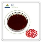 Astaxanthin 오일