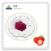 딸기 과일 분말