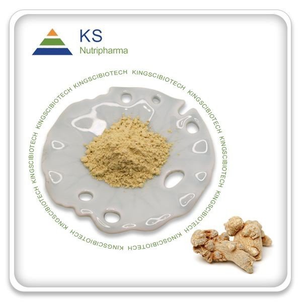 Panax notoginseng 추출물