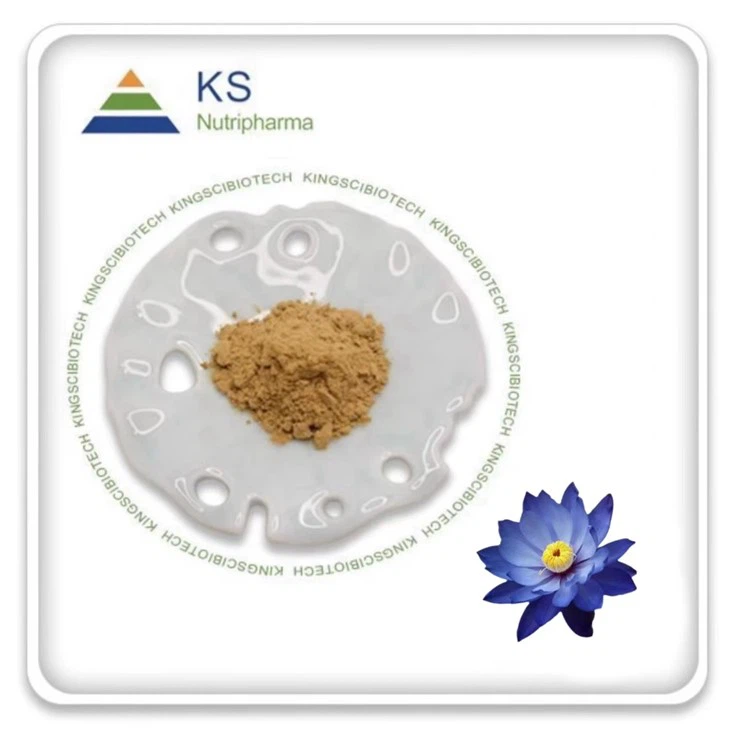 블루 로터스 추출물