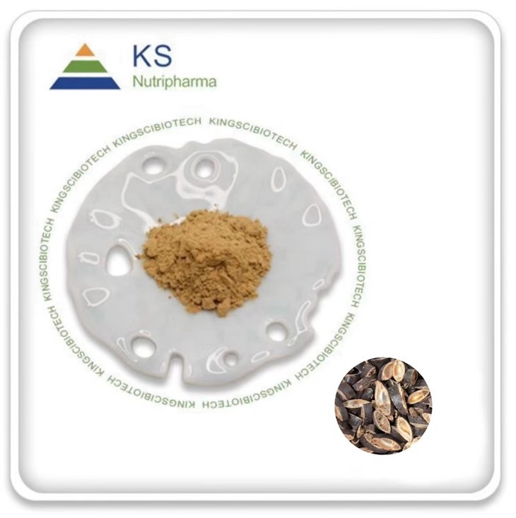 중국산 비누나무 씨앗 추출물