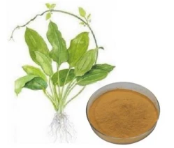 product-249-212 product-249-212